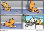 catucw0sewn91.jpg